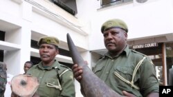 Mafisa wa idara ya wanyamapori Kenya wakionesha pembe za kifaru