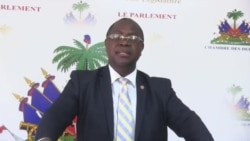 Depite Price Syprien Fè Konnen li Apiye Desizyon Konsèy Sekirite l'ONU an Pran pou Retire Twoup Militè Kas Ble yo ann Ayiti