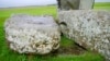 In this photo provided by researchers in August 2024, Stonehenge's "altar stone" lies underneath two Sarsen stones in Wiltshire, England. (Aberystwyth University via AP)