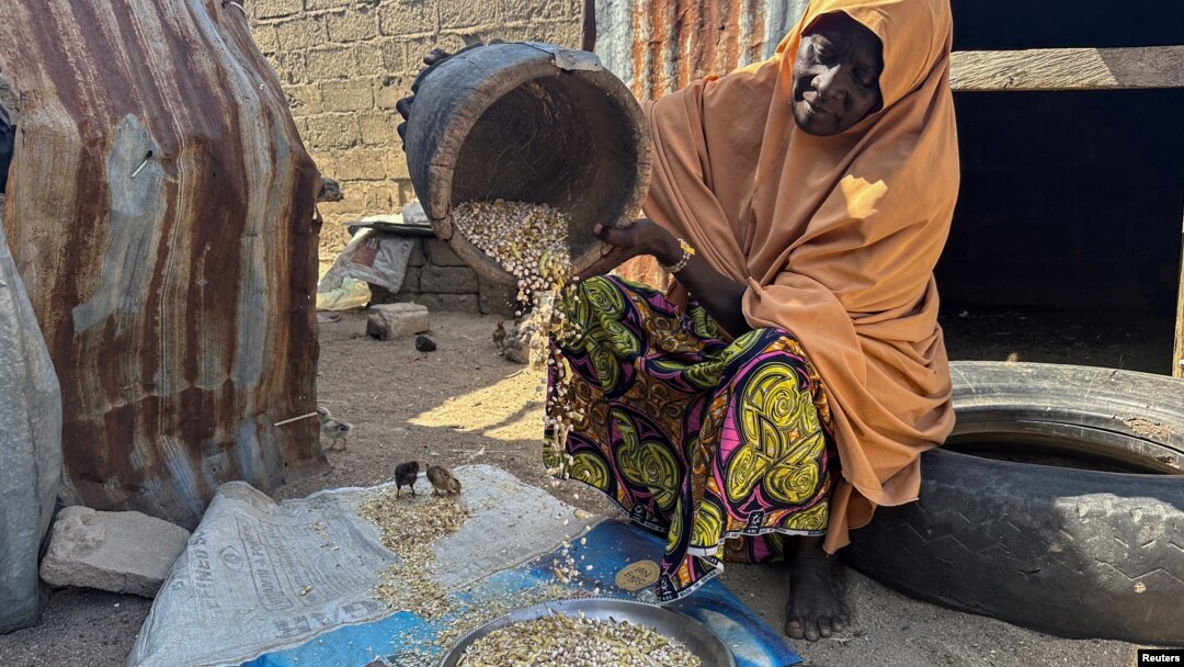 Mariam Hassan, who was displaced by flood shells cowpeas, as she sits outside her shelter in Banki, in Maiduguri, Nigeria October 30, 2024. 