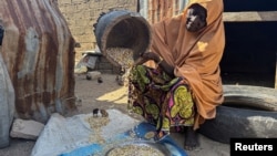 Mariam Hassan, who was displaced by flood shells cowpeas, as she sits outside her shelter in Banki, in Maiduguri, Nigeria October 30, 2024. 