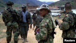 “No queremos riesgos de choques armados por la no observancia de los protocolos”, señaló las FARC en un comunicado.