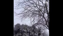 美国东北部暴风雪天气