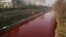 A view of red polluted water in the Jianhe River in Luoyang, Henan province, December 13, 2011. According to local media, the sources of the pollution are two illegal chemical plants discharging their production waste water into the rain sewer pipes. 