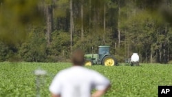 Traktor posipa zaštite na usjeve na američkoj farmi
