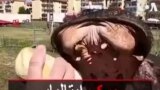 سیرک ایتالیایی از بودجه عمومی کمک گرفت
