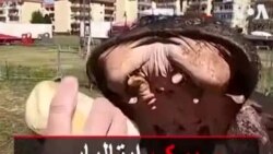 سیرک ایتالیایی از بودجه عمومی کمک گرفت