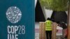 Climate Activists: Five Goals to Watch For at COP28