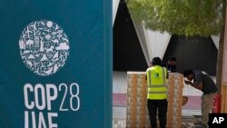 FILE - A worker drinks water, right, ahead of the COP28 U.N. Climate Summit, November 29, 2023, in Dubai, United Arab Emirates. 