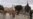 Coronavirus Dampens Christmas Joy in Biblical Bethlehem