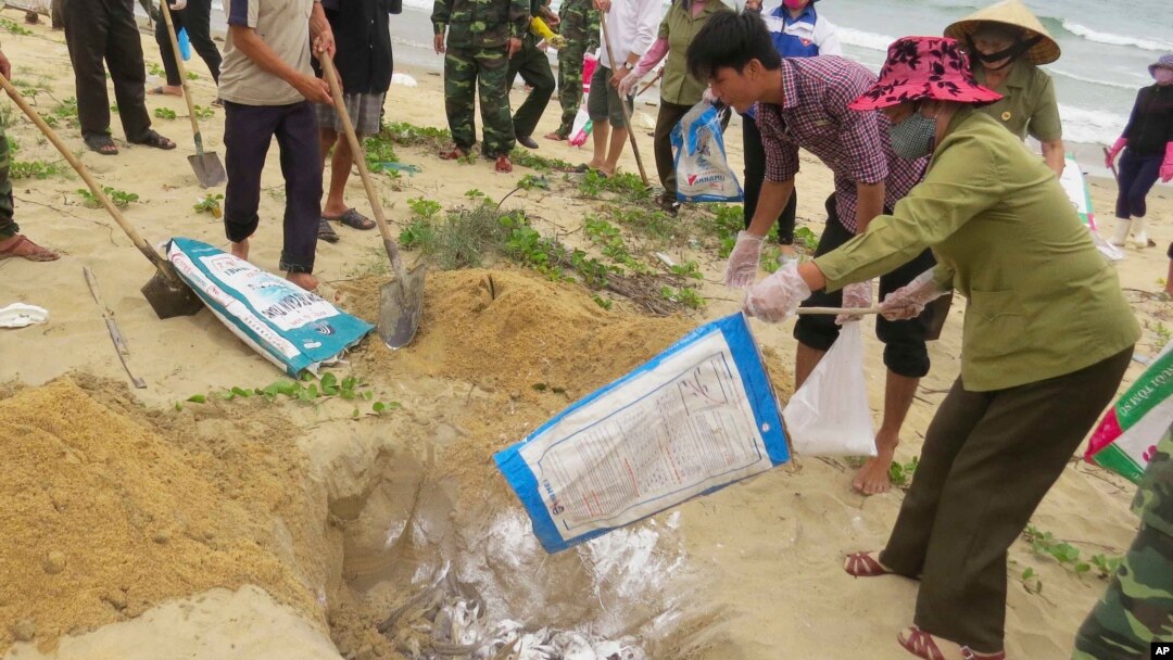 Người dân tiêu hủy cá chết ở tỉnh Quảng Bình, ngày 28/4/2016.