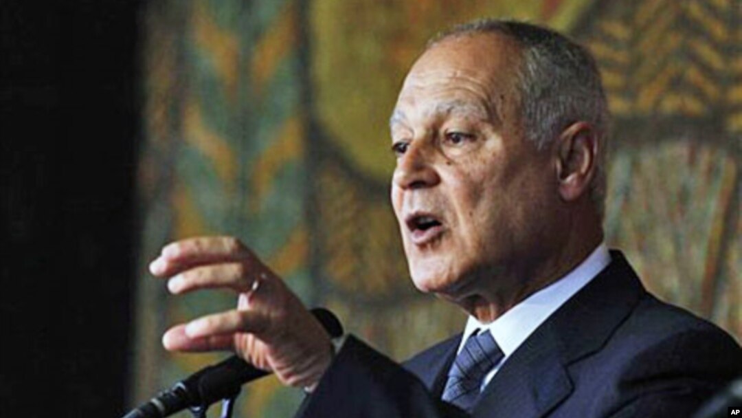FILE - Ahmed Aboul-Gheit speaks during a news-conference in Sofia, Bulgaria, in 2010.