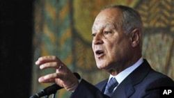 FILE - Ahmed Aboul-Gheit speaks during a news-conference in Sofia, Bulgaria, in 2010.