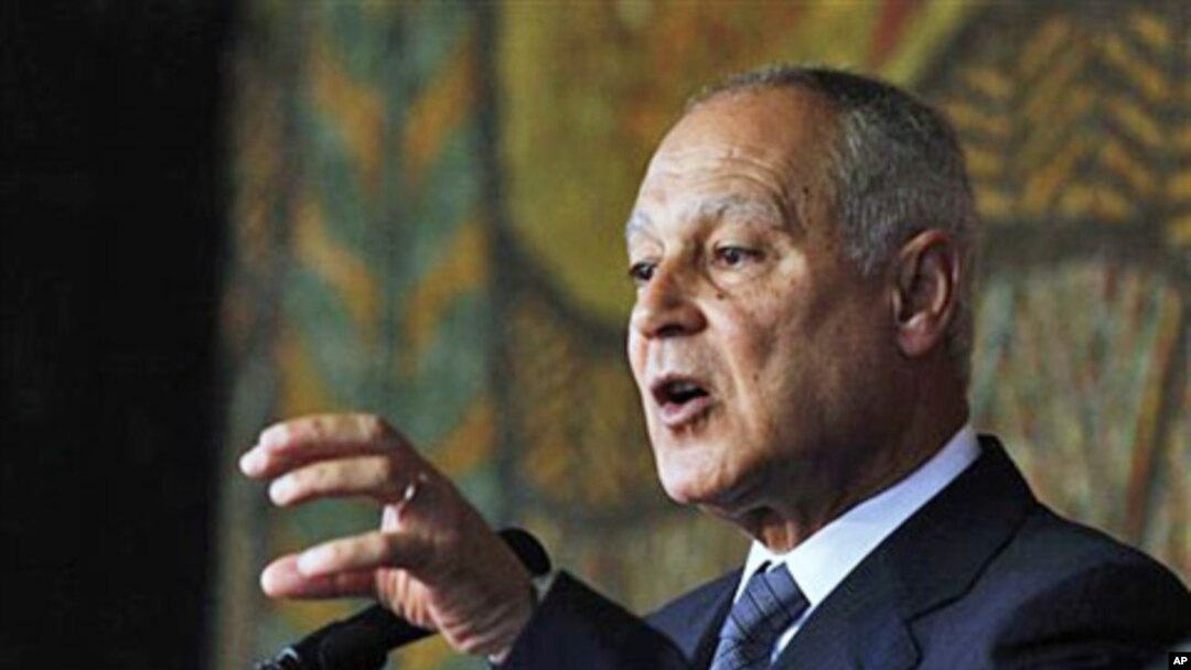 Egyptian FM Ahmed Aboul Gheit speaks during a news-conference in Sofia, 08 Dec 2010
