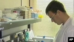 Wood-Based Bone Implants Developed In Italy