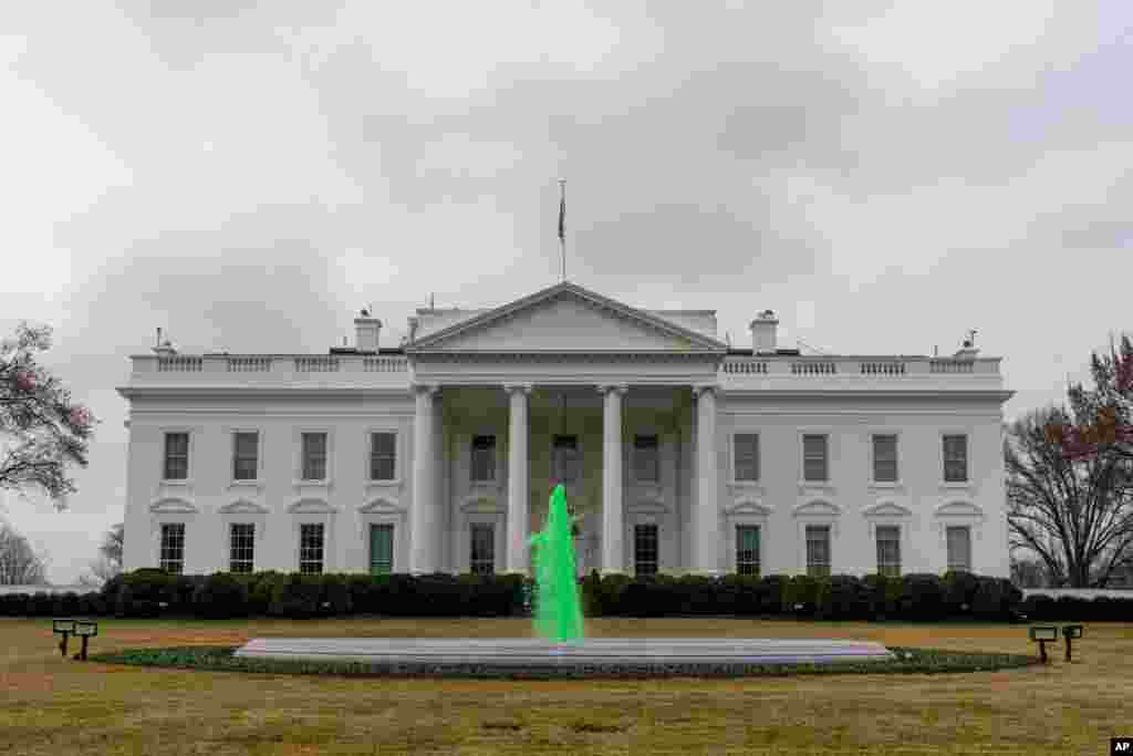 فواره حوض بزرگ در قسمت شمالی کاخ سفید به مناسبت روز سنت پاتریک به رنگ سبز درآمده است.