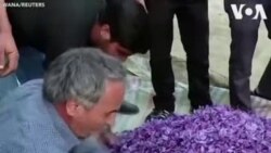 Իրան. Արտահանվող զաֆրանը