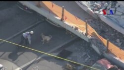 Aparatos de escucha y perros buscan sobrevivientes bajo puente colapsado