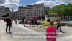 Hayvan Hakları Savunucularından Kırmızı Boyalı Eylem