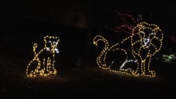 Animal Sculptures Light Up National Zoo for Christmas