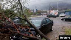 La foto muestra un árbol caído sobre varios vehículos cuando la tormenta tropical Alberto golpea, en Santa Catarina, México, el 20 de junio de 2024.