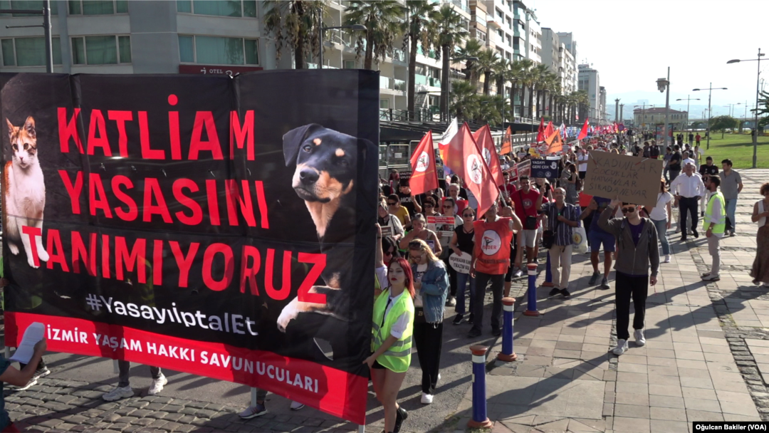 Hayvan hakları savunucuları Ağustos ayında yürürlüğe giren yeni düzenlemeyi protesto etmek için birçok ilde sokağa çıktı. 