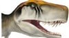 The head of the early dinosaur Herrerasaurus ischigualastensis from Argentina is seen in this illustration obtained by Reuters on April 15, 2024. (Jordan Harris/Handout via REUTERS)