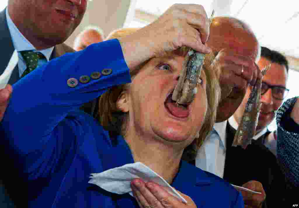 German chancellor Angela Merkel eats a pickled herring after the name giving ceremony for the fish trawler ROS 777 of the Warnemuender fishery in Sassnitz, eastern Germany.