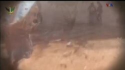 اخبار شامگاهی