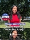 Warna-Warni Politik Amerika Serikat: Merah, Biru, dan Ungu