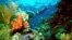 FILE - A tourist swims on the Great Barrier Reef in this undated file picture. 