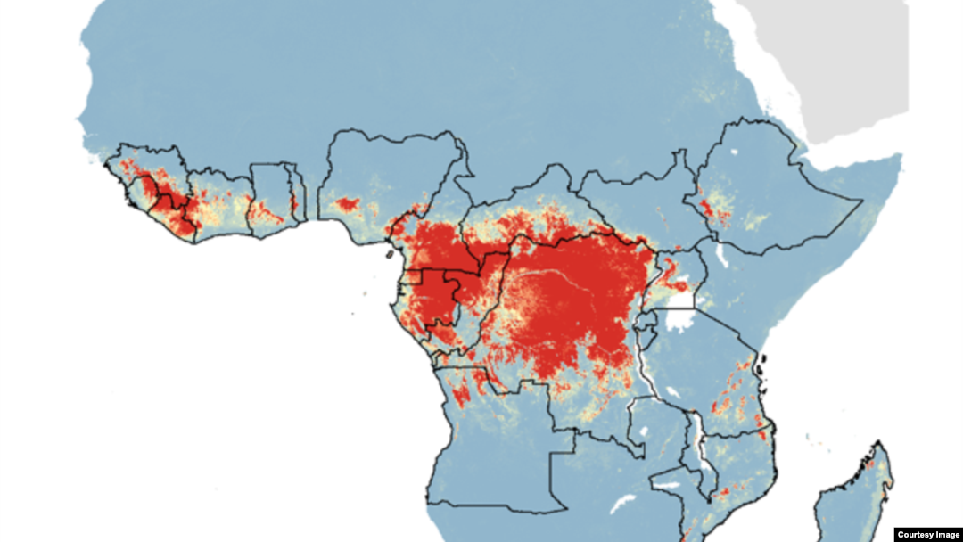 Delovi Afrike pogodjeni epidemijom Ebole