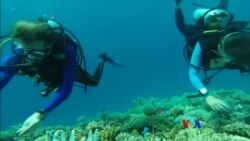 ရာသီဥတုပြောင်းလဲမှုနဲ့ သန္တာကျောက်တန်းတွေ ထိန်းသိမ်းရေး
