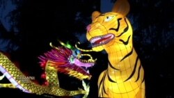 ჩინური ფარნების ფესტივალი კალიფორნიაში