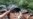 Former North Korean Soldiers Vow to Overthrow Kim Family Rule