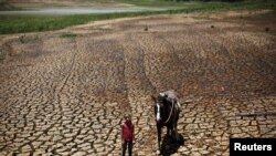 FILE - Paula, 7, poses with her horse on the cracked ground of Atibainha dam, part of the Cantareira reservoir, in Nazare Paulista, near Sao Paulo, Brazil, February 12, 2015. 