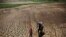 FILE - Paula, 7, poses with her horse on the cracked ground of Atibainha dam, part of the Cantareira reservoir, in Nazare Paulista, near Sao Paulo, Brazil, February 12, 2015. 