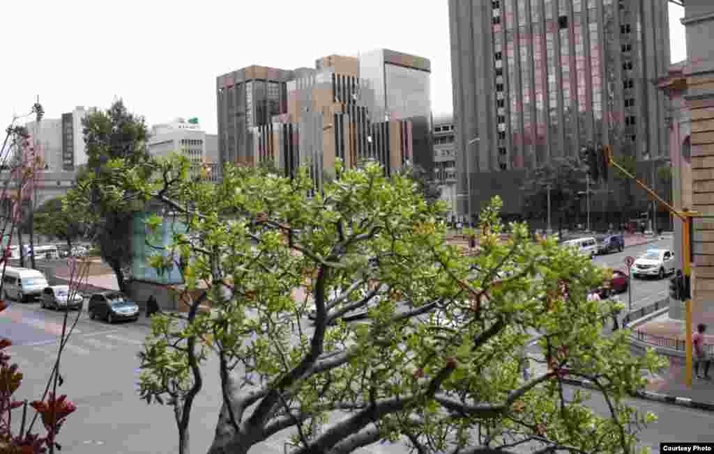 Patrons of The Guildhall have a different view of Johannesburg&#39;s center in modern times. Photo by Darren Taylor