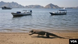 Dengan masuknya Pulau Komodo sebagai salah satu dari tujuh Keajaiban Dunia Baru, diharapkan akan makin banyak mendatangkan wisatawan ke pulau ini dan mengembangkan ekonomi masyarakat setempat (foto: dok).