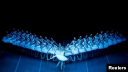 Шанхайский балет исполняет "Лебединое озеро". Архивное фото