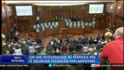LDK, Vetëvendosje në përpjekje të afrimit të qëndrimeve