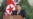North Korea's Kim holds security meeting as tensions with Seoul soar