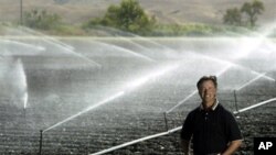 스프링쿨러로 수분을 공급하는 미 캘리포니아 주의 광활한 농장