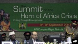 Viongozi wa IGAD wakutana kujadilia al-Shabab