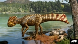 Inteligentni dinosaurusi su mogući