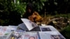 FILE - A newspaper seller prepares her stall with articles dominated by the election of U.S. Republican Donald Trump, in Jakarta, Indonesia, Nov. 10, 2016. 