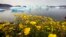 FILE - Wildflowers bloom on a hill overlooking a fjord filled with icebergs near the south Greenland town of Narsaq, July 27, 2009. 