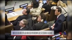 联合国委员会敦促将朝鲜送交国际法庭