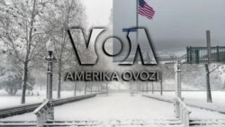 Amerika Manzaralari: Saylov, Beruniy, Rishton kulollari