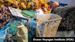 Coastal marine life are getting a ride on plastic containers like these that make their way to the ocean. The coastal species are living alongside oceanic species on the plastics. These were pulled out of the Great Pacific Garbage Patch. (Courtesy of Ocean Voyages Institute)